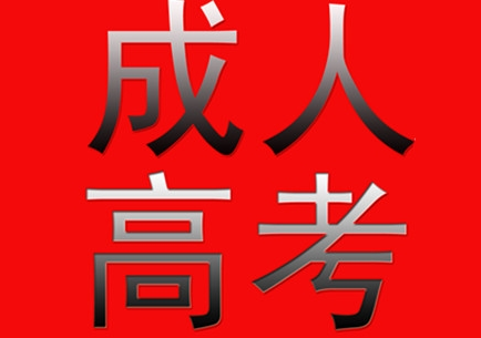 成人高考英語復(fù)習(xí)